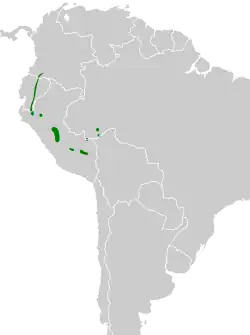 Distribución geográfica del anambé cariamarillo.