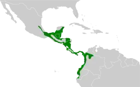 Distribución geográfica del verdillo menor.