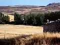 Paisaje al norte de Tablada de Villadiego, desde el promontorio de la iglesia. Flanqueado por árboles, el Río Grande.