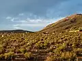 Paisaje cercano al pueblo de Barrancas