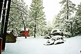 Bosque boreal,Sierra de Juárez, Baja California