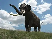 Recreación a tamaño natural de un Palaeoloxodon antiquus en Ambrona (Miño de Medinaceli, Soria, España).