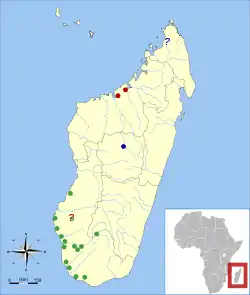 Yacimientos subfósiles de PalaeopropithecusGodfrey, L. R. y Jungers, W. L. (2002). «Capítulo 7: Quaternary fossil lemurs».  En Hartwig, W. C., ed. The Primate Fossil Record (en inglés). Cambridge University Press. pp. 111–112. ISBN 978-0-521-66315-1. rojo = P. kelyus; verde = P. ingens;azul = P. maximus