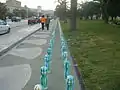 Paletas y carril bici en el Foro Italico.