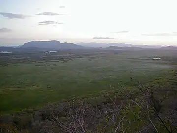 Parque nacional Palo Verde.Localizado en la cuenca baja del río Tempisque, importante sitio de reproducción de aves acuáticas tanto migratorias como residentes. La vegetación muestra la alternancia del manglar, bosques diversos de perennifolio, anegado, mixto, caducifolio de llanura, de ribera y pastizales.