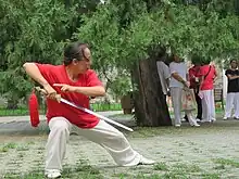 Pan Ying realizando Taiji Jian en el Parque del Templo del Cielo de Pekín.