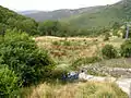 Caminayo. Panorámica del campo.