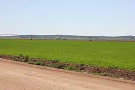 Cultivos de Dehesa de Los Llanos