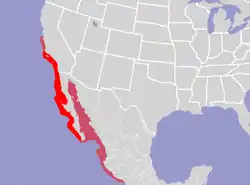 Distribución de Panulirus interruptus: las áreas principales en rojo; las áreas periféricas en rojo pálido.