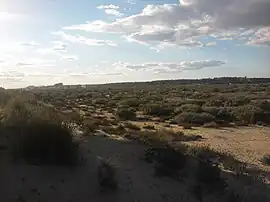 Marismas del Río Piedras y Flecha del Rompido