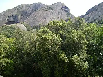 El "Bec D'Aigle", y encinas nativas de Provenza.