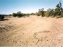 El cauce seco del río Paroo, cerca de Wilcannia