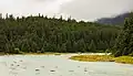 Parque Estatal de Recreo del Lago Chilkoot, Haines, Alaska.