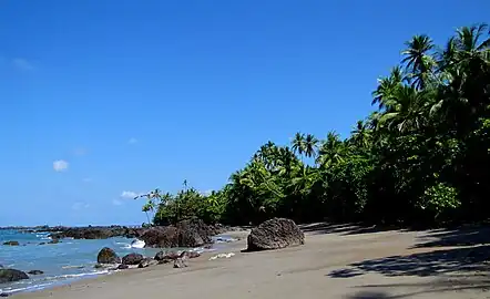 Parque Nacional CorcovadoLocalizado en la península de Osa, fue calificado por la revista National Geographic como «el lugar más intenso del mundo, biológicamente hablando» y se estima que ningún lugar en el mundo, que posea una extensión similar, se alberga una mayor diversidad biológica. Corcovado es refugio para especies en vías de extinción como el oso hormiguero gigante, el jaguar, la danta y el armadillo zopilote.