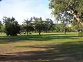 Vista de un área del Parque Saavedra.