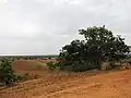 El Parque en la estación seca