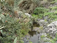Parte del barranco del Río que cruza El Batán.