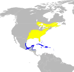      Nidificación      Invernada