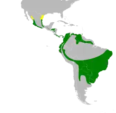      Nidificación      Todo el año