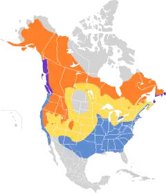 Distribución del género