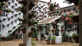 Festividad de los Patios Cordobeses