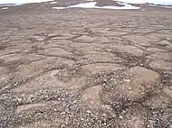 Suelo estampado en la isla de Devon en el Ártico canadiense, en la Tierra.