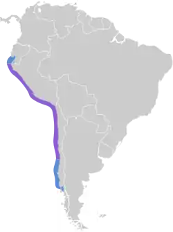 Distribución del pelícano peruano