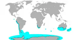 Distribución mundial de los pingüinos