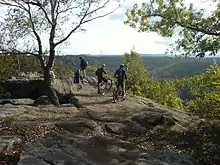 Fotografía de excursionistas y ciclistas de montaña en la cima de una colina de roca plana con vistas a un bosque