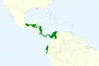 Distribución de P. longirostris