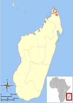 Distribución del lémur de orejas ahorquilladas de Ambre