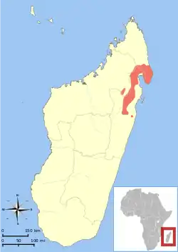 Distribución del lémur de orejas ahorquilladas de Masoala