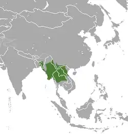 Distribución del langur de Phayre