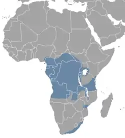 Mapa de distribución del duiker azul