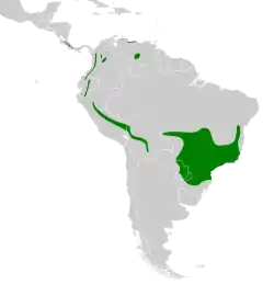 Distribución geográfica del ticotico ocráceo grande.