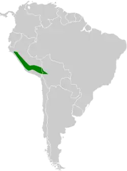 Distribución geográfica del yal peruano.