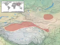 Range of Phrynocephalus versicolor