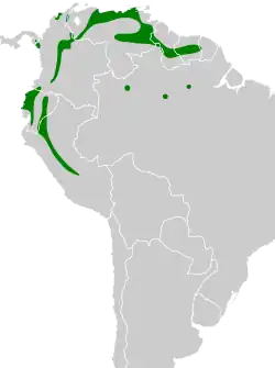 Distribución geográfica del mosquerito cabecigrís.