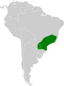 Distribución geográfica del orejerito cejudo.