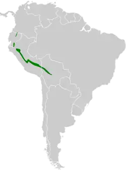 Distribución geográfica del orejerito de anteojos.