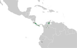 Distribución geográfica del orejerito cejirrufo.