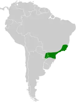 Distribución geográfica del orejerito ojirrojo.