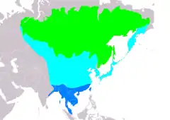 Distribución de Phylloscopus inornatus