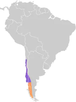 Distribución geográfica de la rara.