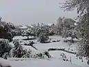 Nevada en Ariel