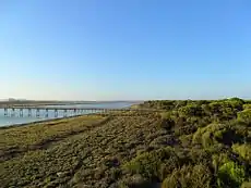 Puente sobre el Río San Pedro