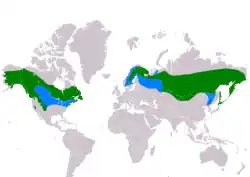 Distribución de Pinicola enucleator