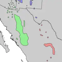 alt=Distribución natural de Pinus arizonica
verde: Pinus arizonica var. arizonica
rojo: Pinus arizonica var. stormiae
azul: P. ponderosa ssp. brachyptera