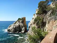 Vista de la cala y el mar desde Pinya de Rosa.