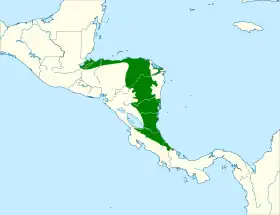 Distribución geográfica del piprites cabecigrís.